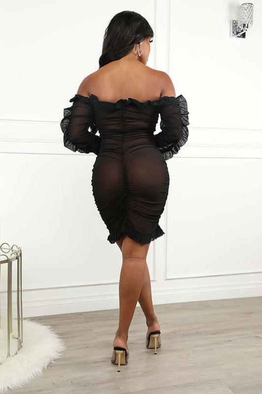 Mesh Lace Front Dress w/ Ruching