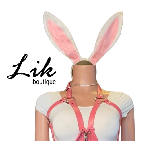Bunny Ears and Tail Set